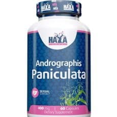 Haya Labs - Andrographis Paniculata 400mg / 60 Caps
