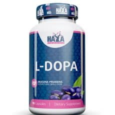 Haya Labs - Cordiceps 120/90